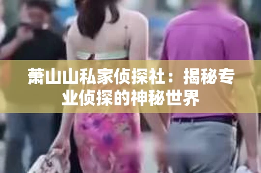 萧山山私家侦探社：揭秘专业侦探的神秘世界