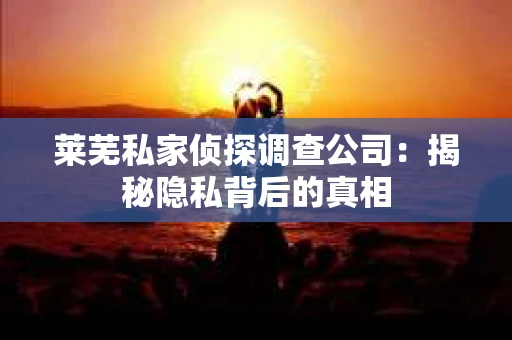 莱芜私家侦探调查公司：揭秘隐私背后的真相