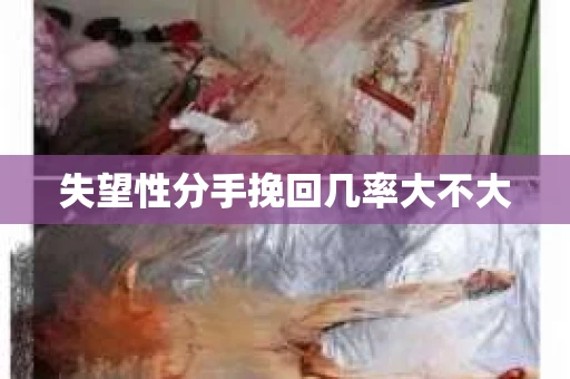 失望性分手挽回几率大不大