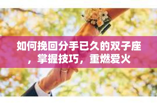 如何挽回分手已久的双子座，掌握技巧，重燃爱火