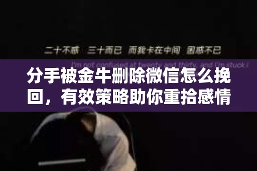 分手被金牛删除微信怎么挽回，有效策略助你重拾感情