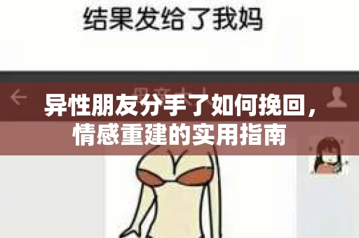 异性朋友分手了如何挽回，情感重建的实用指南