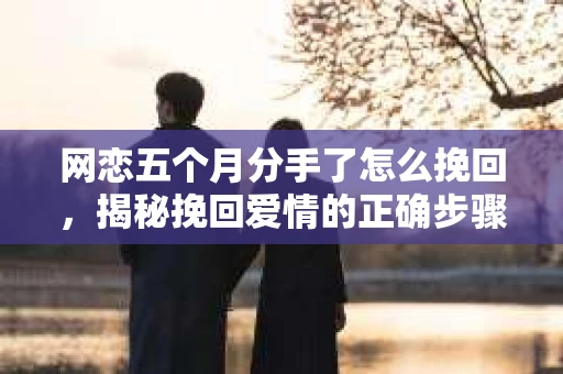 网恋五个月分手了怎么挽回，揭秘挽回爱情的正确步骤