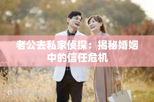 老公去私家侦探：揭秘婚姻中的信任危机