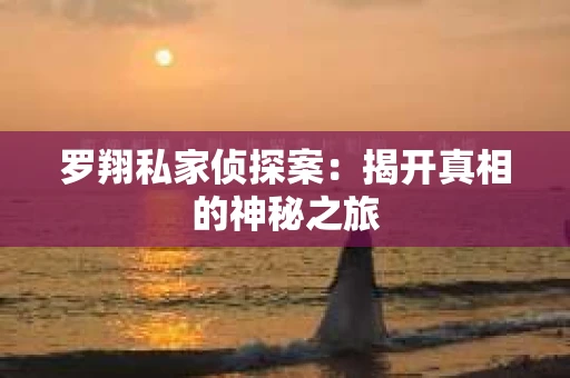 罗翔私家侦探案：揭开真相的神秘之旅