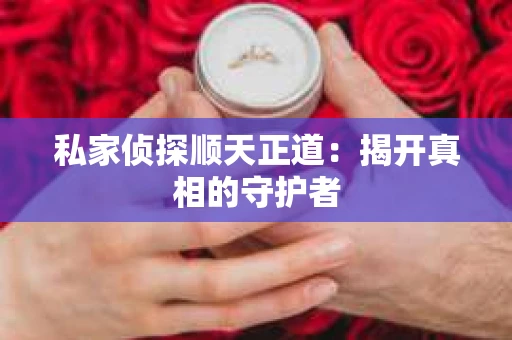 私家侦探顺天正道：揭开真相的守护者