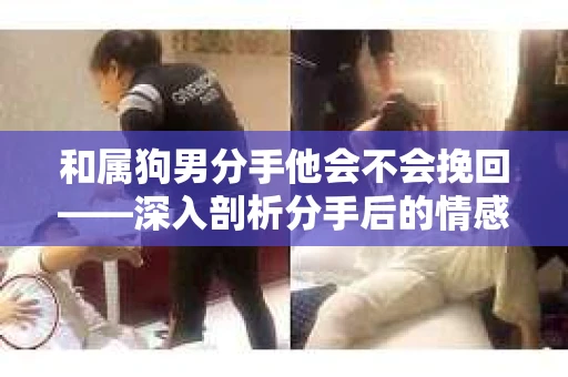和属狗男分手他会不会挽回——深入剖析分手后的情感挽回之路