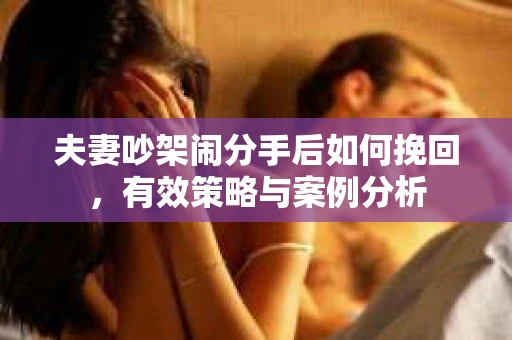 夫妻吵架闹分手后如何挽回，有效策略与案例分析