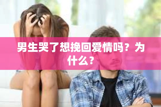男生哭了想挽回爱情吗?为什么? 男生哭了想挽回爱情吗?为什么?