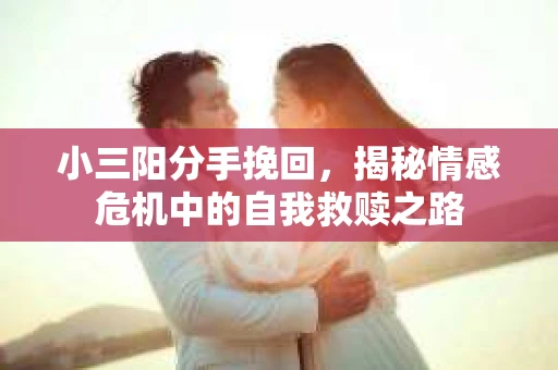 小三阳分手挽回，揭秘情感危机中的自我救赎之路