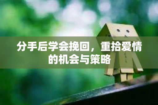分手后学会挽回，重拾爱情的机会与策略