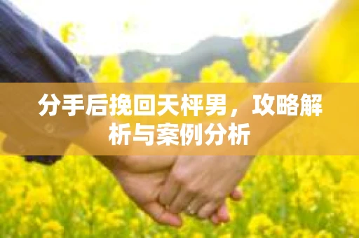 分手后挽回天枰男，攻略解析与案例分析