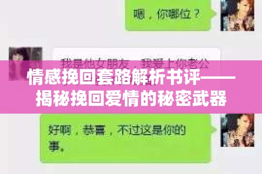情感挽回套路解析书评——揭秘挽回爱情的秘密武器
