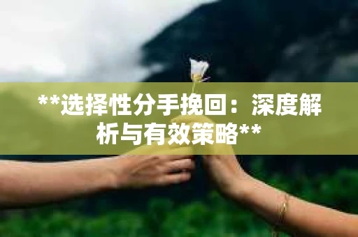 **选择性分手挽回：深度解析与有效策略**