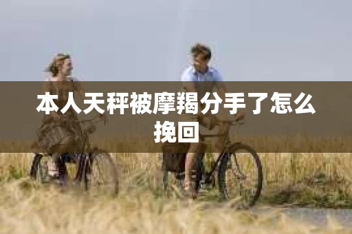 本人天秤被摩羯分手了怎么挽回