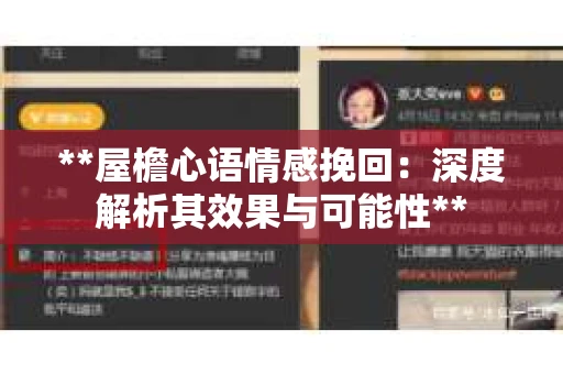**屋檐心语情感挽回：深度解析其效果与可能性**