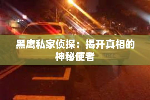 黑鹰私家侦探：揭开真相的神秘使者