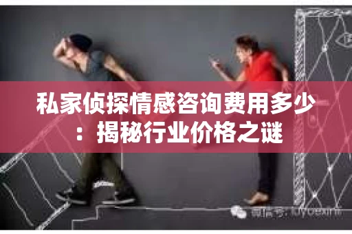 私家侦探情感咨询费用多少：揭秘行业价格之谜