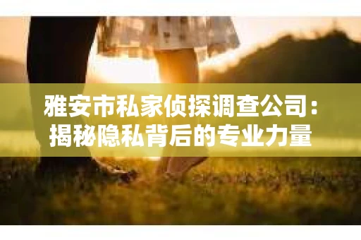 雅安市私家侦探调查公司：揭秘隐私背后的专业力量