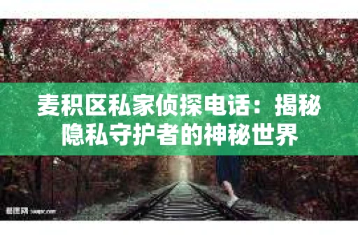 麦积区私家侦探电话：揭秘隐私守护者的神秘世界