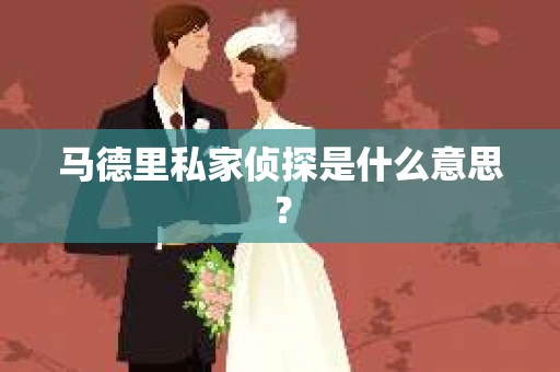 马德里私家侦探是什么意思？