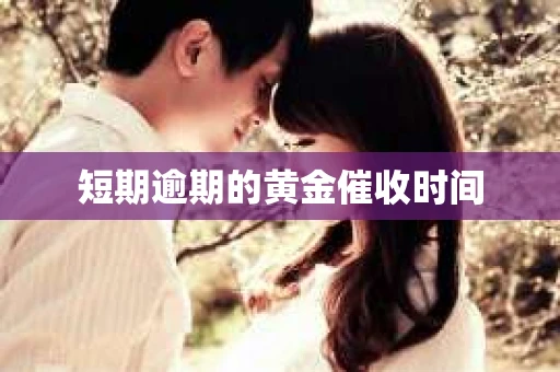 短期逾期的黄金催收时间