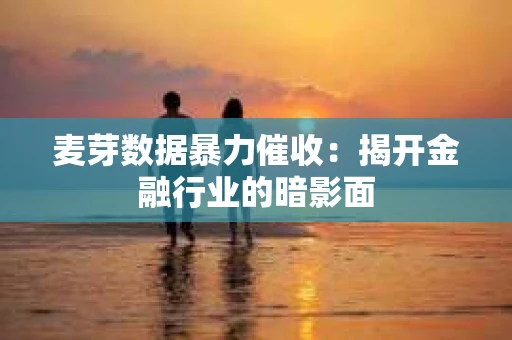 麦芽数据暴力催收：揭开金融行业的暗影面