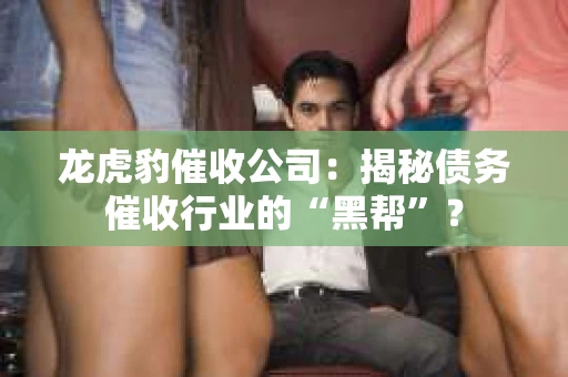 龙虎豹催收公司：揭秘债务催收行业的“黑帮”？