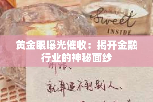 黄金眼曝光催收：揭开金融行业的神秘面纱