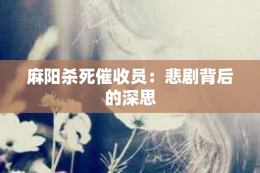 麻阳杀死催收员：悲剧背后的深思