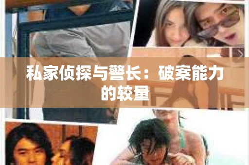 私家侦探与警长：破案能力的较量