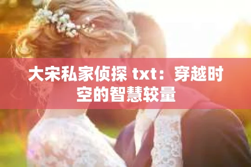 大宋私家侦探 txt：穿越时空的智慧较量