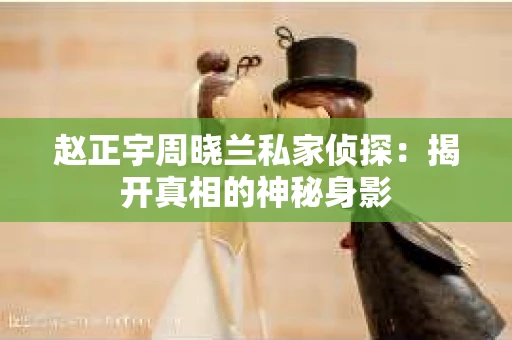 赵正宇周晓兰私家侦探：揭开真相的神秘身影