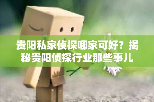 贵阳私家侦探哪家可好？揭秘贵阳侦探行业那些事儿