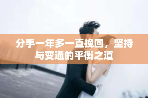 分手一年多一直挽回，坚持与变通的平衡之道