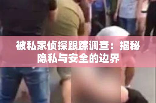 被私家侦探跟踪调查：揭秘隐私与安全的边界