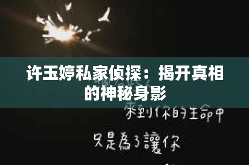 许玉婷私家侦探：揭开真相的神秘身影