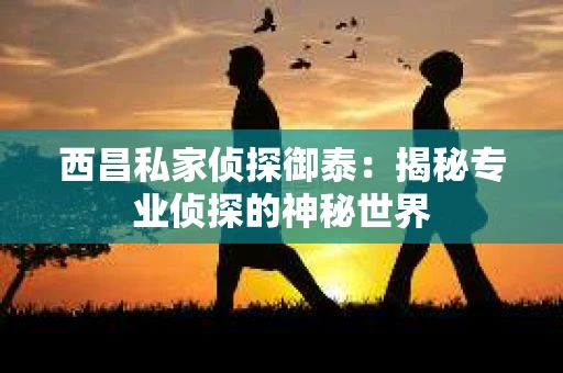 西昌私家侦探御泰：揭秘专业侦探的神秘世界