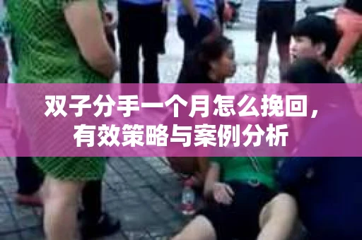 双子分手一个月怎么挽回，有效策略与案例分析