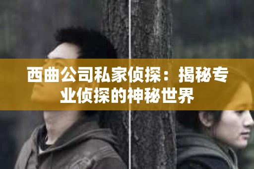 西曲公司私家侦探：揭秘专业侦探的神秘世界