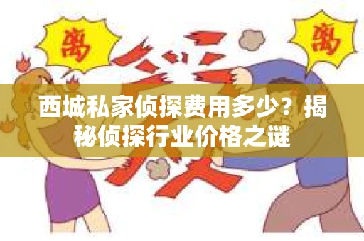 西城私家侦探费用多少？揭秘侦探行业价格之谜
