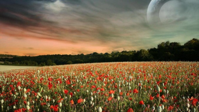 为什么泰州发展不起来?